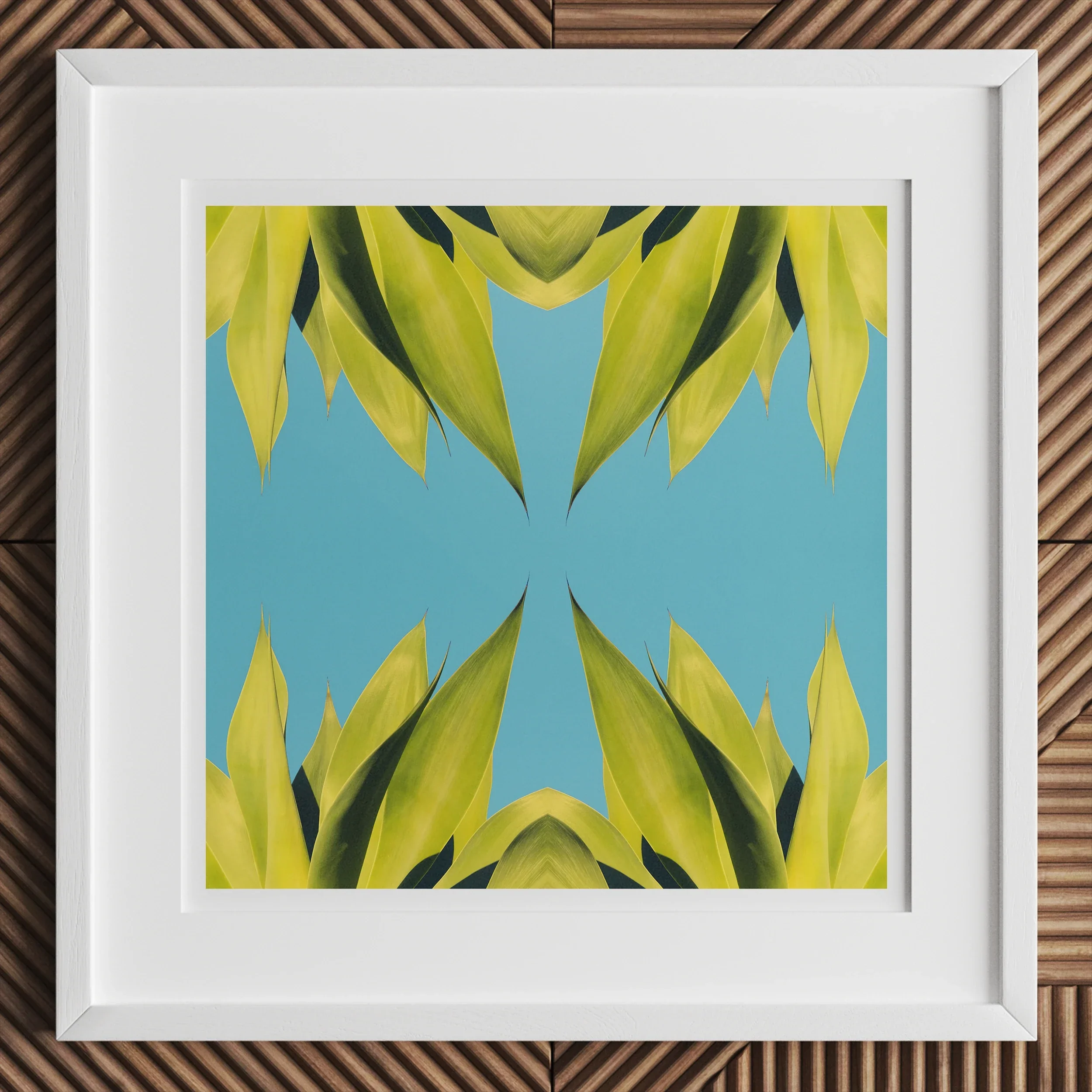 In Bloom - Modern Succulent Photography Art Print Posters Prints & Visual Artwork