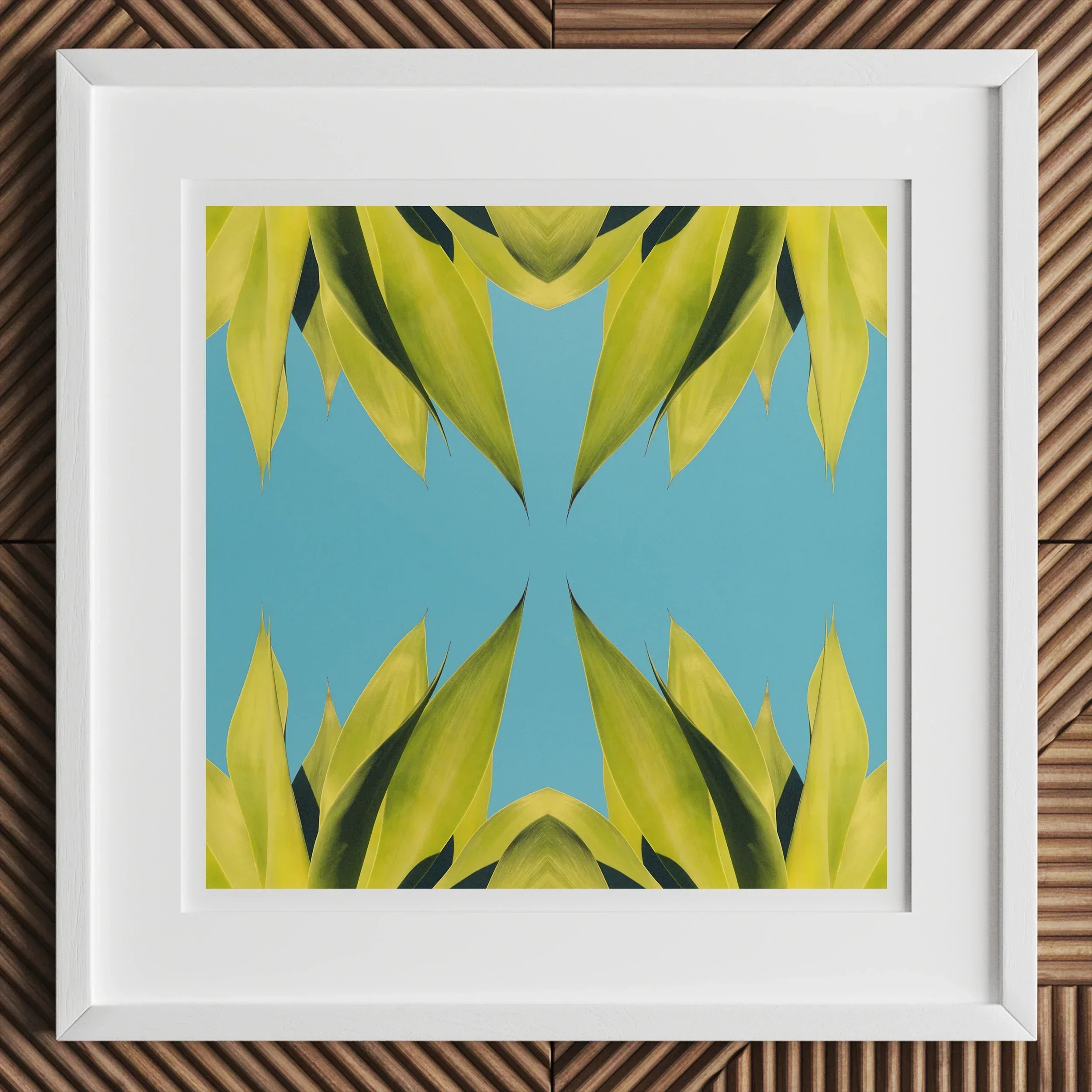 In Bloom - Modern Succulent Photography Art Print