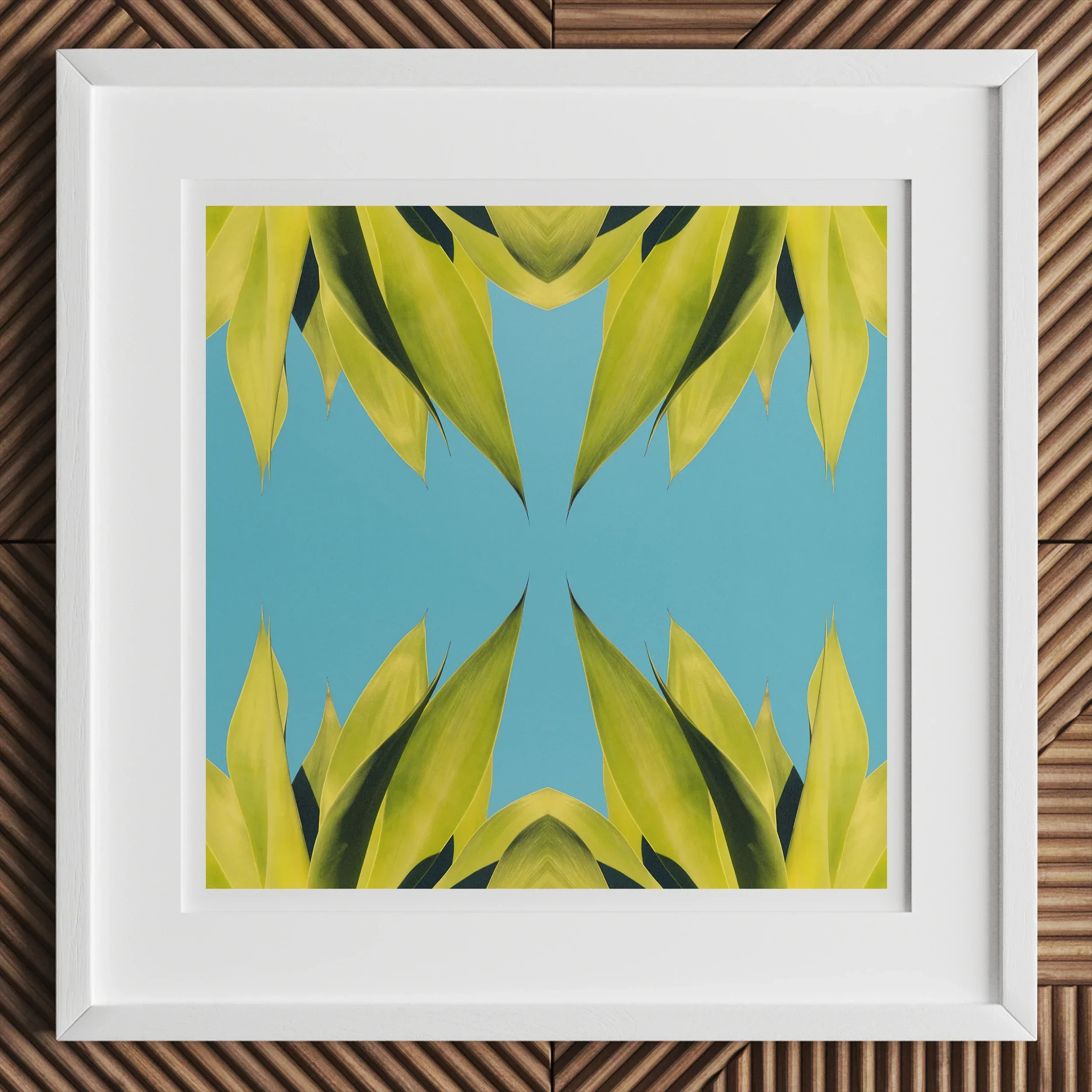 In Bloom Modern Succulent Photography Art Print, Framed Abstract Artwork Symmetrical Yellow Green Leaf Like Shapes Blue
