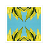 In Bloom - Modern Succulent Photography Art Print, Yellow Leaves Arranged Symmetrical Kaleidoscope Pattern