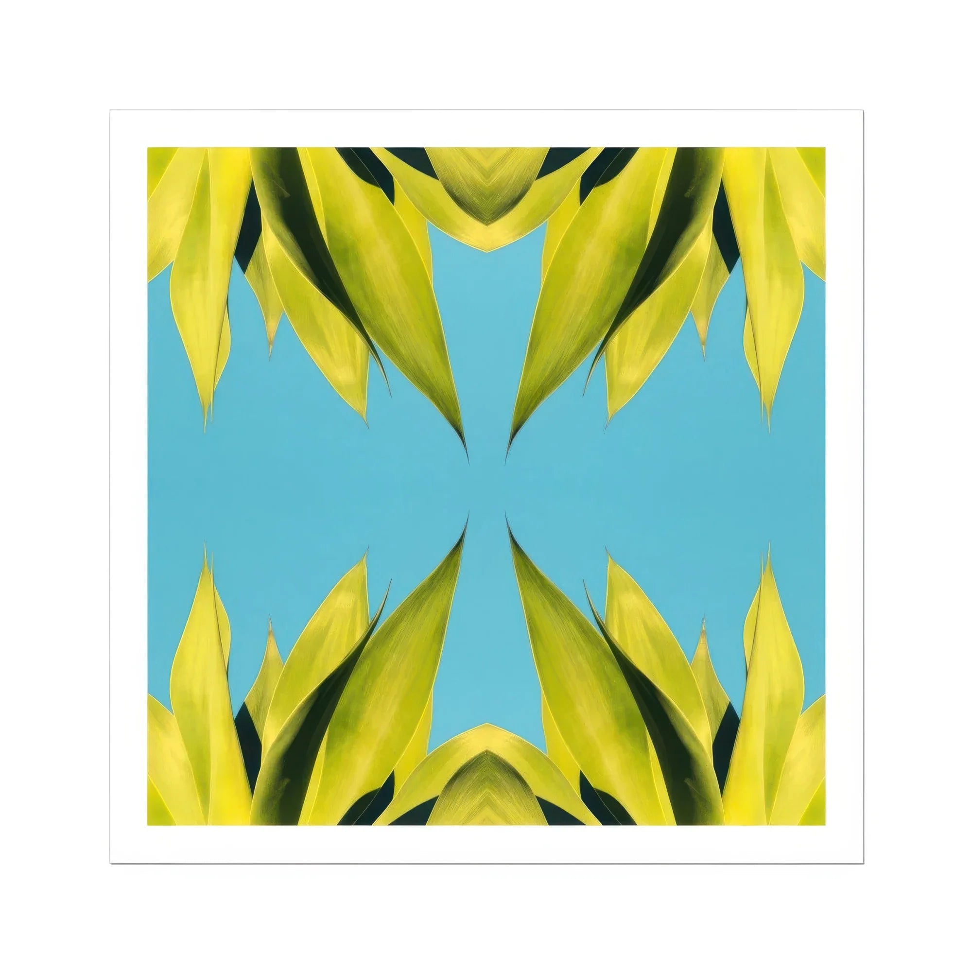 In Bloom - Modern Succulent Photography Art Print, Yellow Leaves Arranged Symmetrical Kaleidoscope Pattern