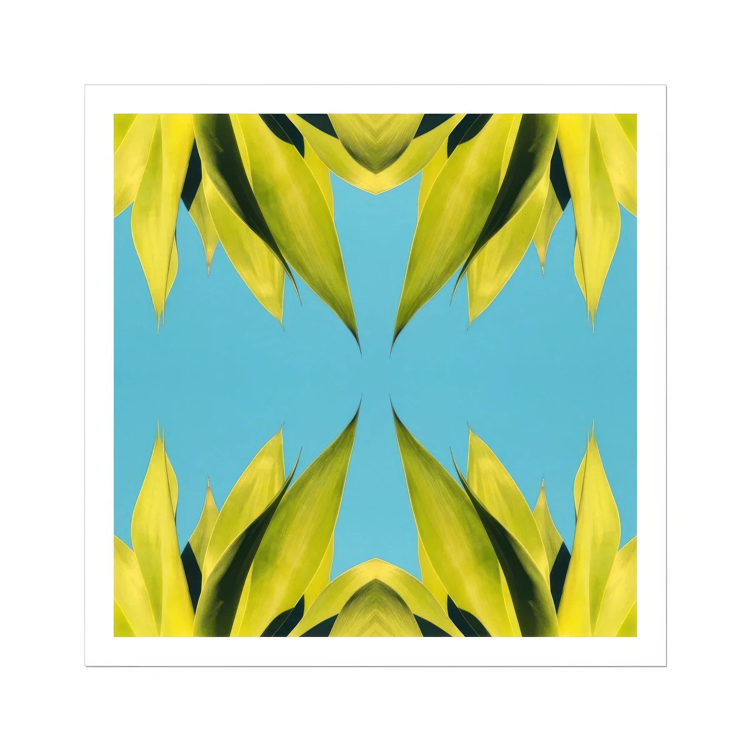 In Bloom Modern Succulent Photography Art Print, Yellow Leaves Arranged Symmetrical Kaleidoscope Pattern