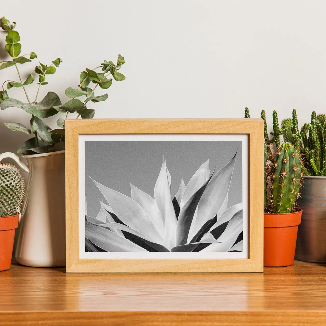 In Bloom - Succulent Black And White Wall Art - 8×10 - Posters Prints & Visual Artwork - Aesthetic Art