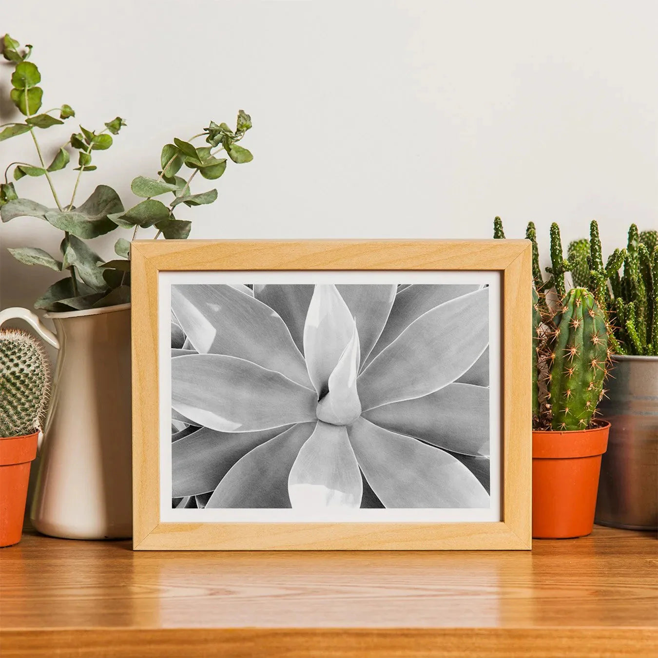 In Bloom Too - Succulent Black And White Wall Art - Posters Prints & Visual Artwork - Aesthetic Art