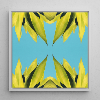 In Bloom - Trippy Succulent Art Framed Canvas, 12x12’’ / 31x31cm / White Floating Frame, Framed Symmetrical Leaf Art