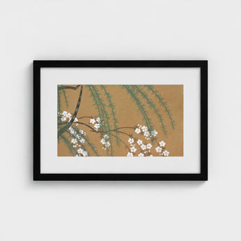 Blossoms from Momoyogusa - Kamisaka Sekka Art Print / Canvas Black-framed Artwork Delicate White Green Branches Warm Sekka’s, Meiji Era’s