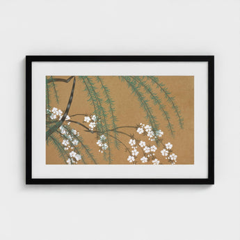 Blossoms from Momoyogusa - Kamisaka Sekka Art Print / Canvas Framed Artwork Delicate White Green Foliage Warm Sekka’s, Meiji Era’s Artistic