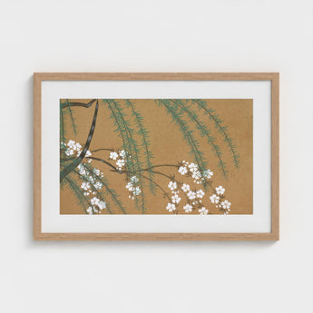 Blossoms from Momoyogusa - Kamisaka Sekka Art Print / Canvas Framed Artwork Delicate White Green Foliage Warm Sekka’s, Meiji Era’s Artistic