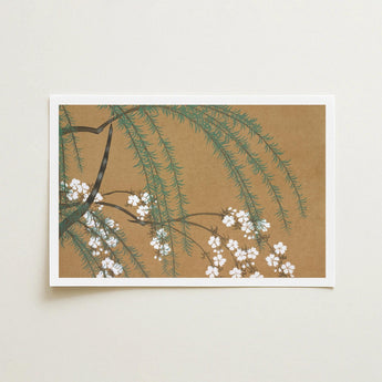 Blossoms from Momoyogusa - Kamisaka Sekka Art Print / Canvas Rectangular Framed Delicate Green Willow Branches White Sekka’s, Meiji Era’s