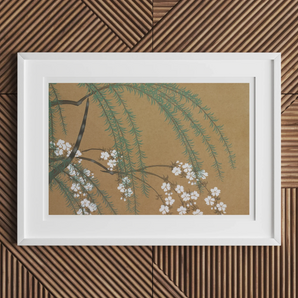 Blossoms from Momoyogusa - Kamisaka Sekka Art Print, 18x12’’ / 46x31cm / Unframed, Framed Artwork Delicate Cherry Blossoms Pine Branches Tan