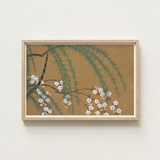 Framed Artwork Delicate White Blossoms Green Foliage Warm Kamisaka Sekka’s, Meiji Era’s Artistic Revolution, Exquisite Woodblock Artistry