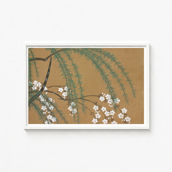 Framed Artwork Delicate White Blossoms Green Foliage Warm Kamisaka Sekka’s, Meiji Era’s Artistic Revolution, Exquisite Woodblock Artistry