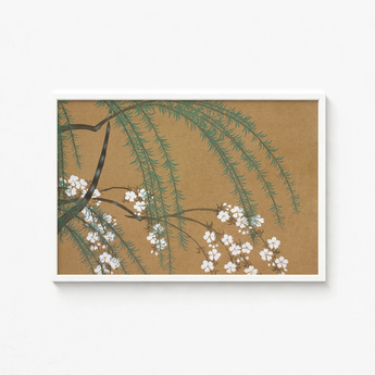 Framed Artwork Delicate White Blossoms Green Foliage Warm Kamisaka Sekka’s, Meiji Era’s Artistic Revolution, Exquisite Woodblock Artistry