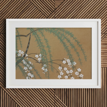 Blossoms from Momoyogusa - Kamisaka Sekka Art Print / Canvas, Kamisaka Sekka’s Blossoms, Meiji Era’s Artistic Revolution, Exquisite