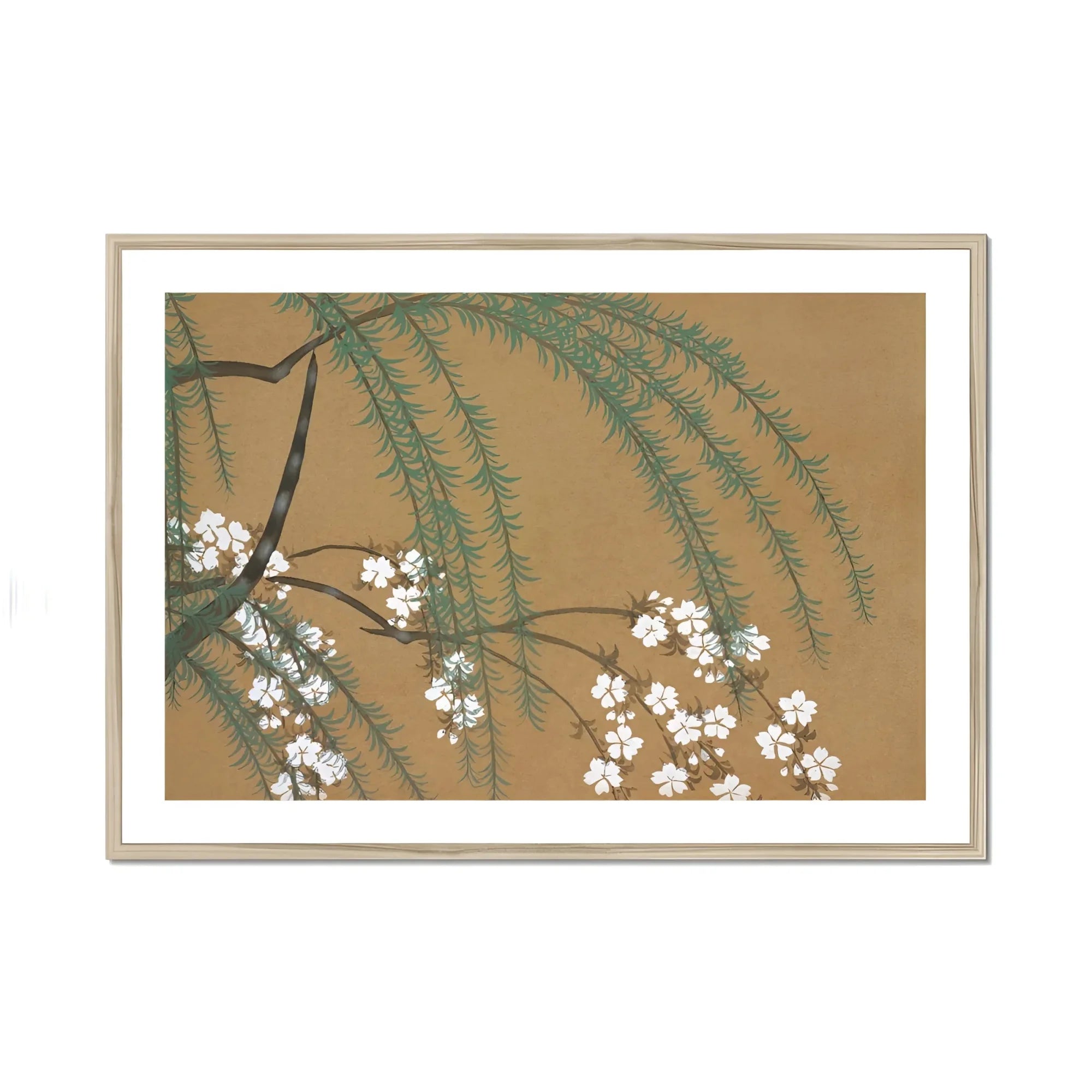 Blossoms from Momoyogusa - Kamisaka Sekka Art Print, Delicate White Cherry Blossoms Pine Branches Brown Backdrop