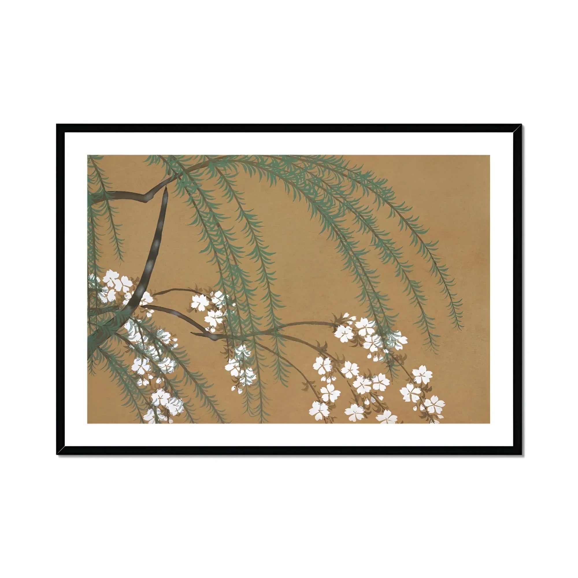 Blossoms from Momoyogusa - Kamisaka Sekka Art Print, Delicate White Cherry Blossoms Pine Branches Brown Backdrop