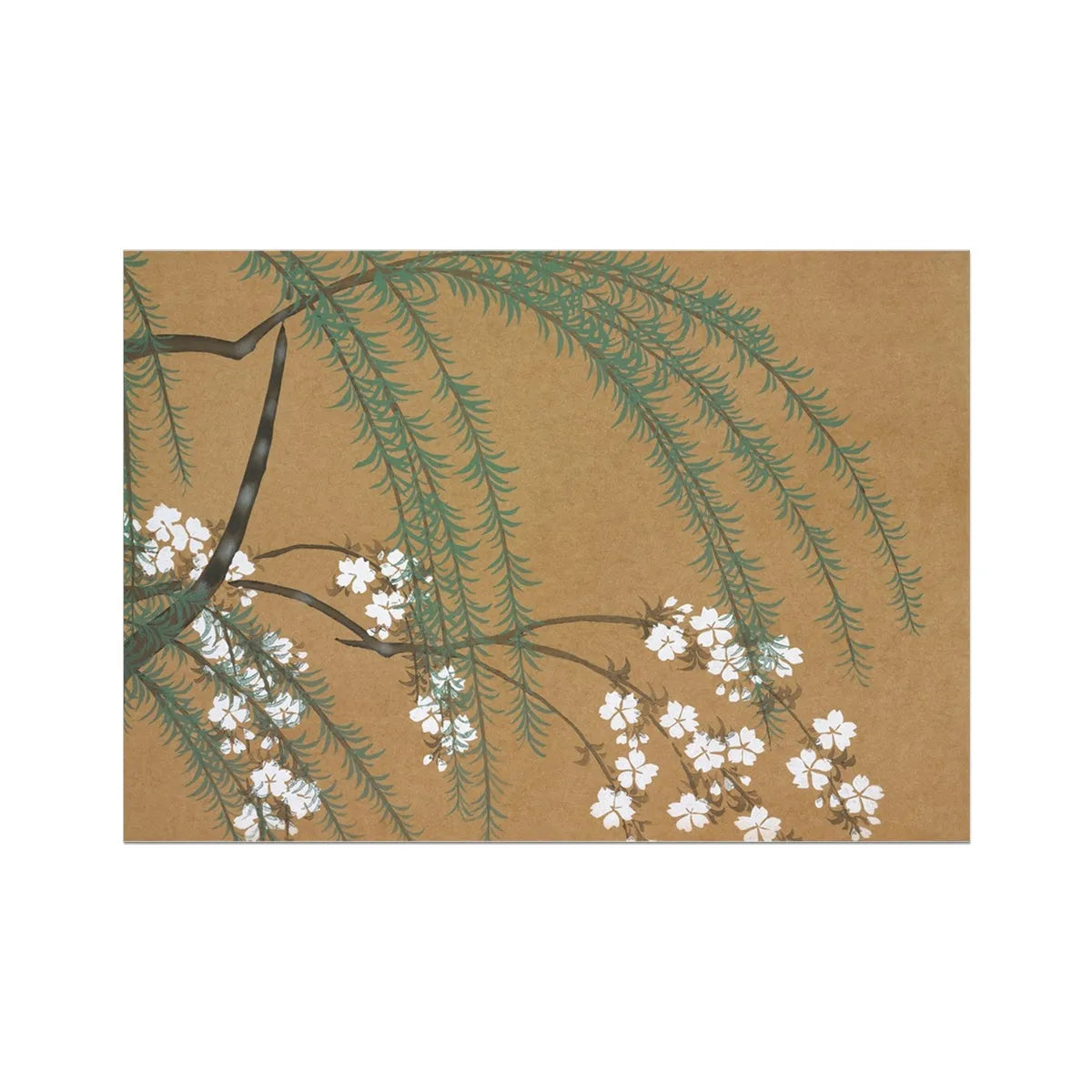 Blossoms From Momoyogusa By Kamisaka Sekka Fine Art Print - Posters Prints & Visual Artwork - Aesthetic Art