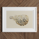 Blowfish Luigi Balugani Sea Life Art Print, 18x12’’ / 46x31cm / Unframed, Framed Watercolor Painting Spotted Pufferfish