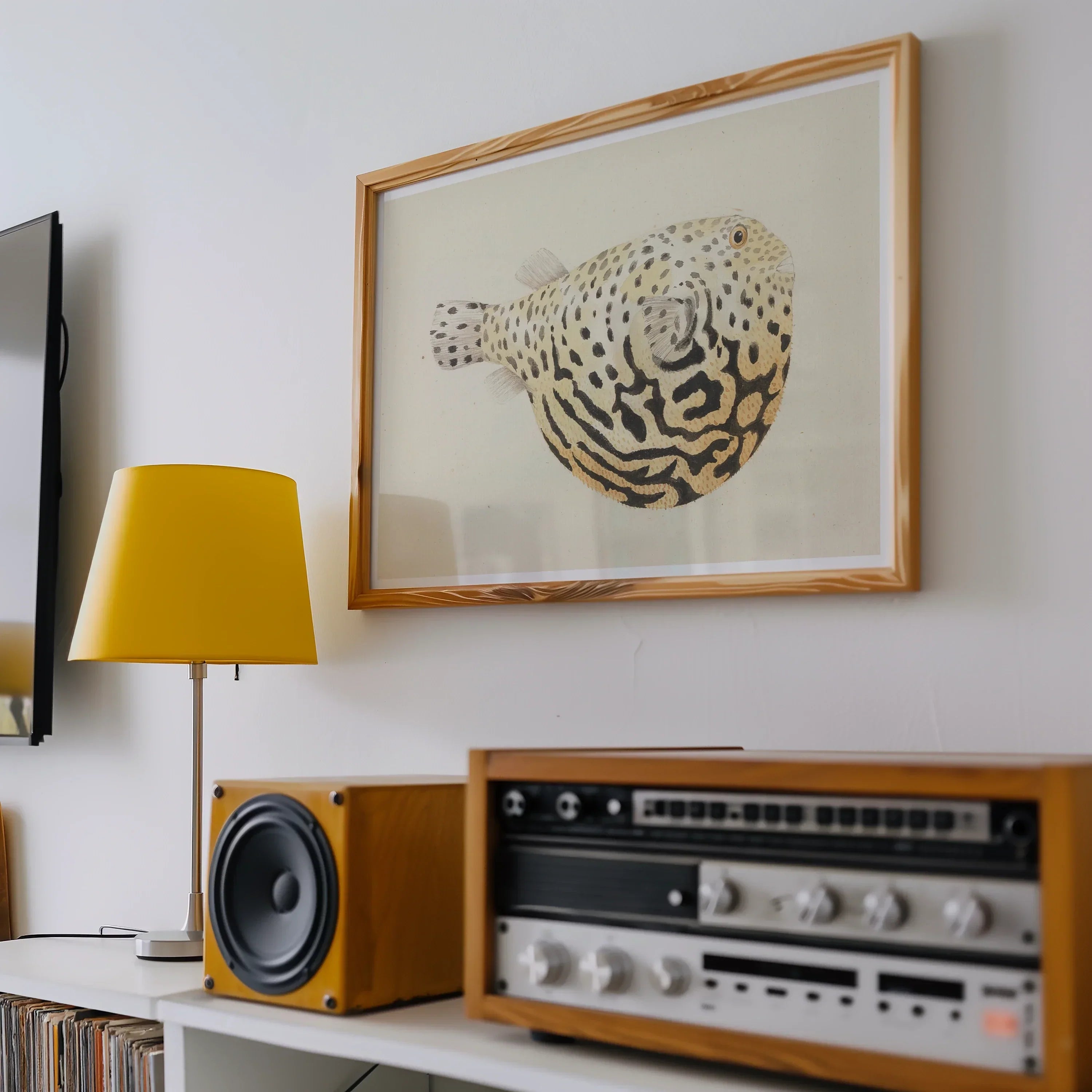 Blowfish - Luigi Balugani Sea Life Art Print, 24’’x16’’ / Unframed, Framed Artwork Pufferfish Black White