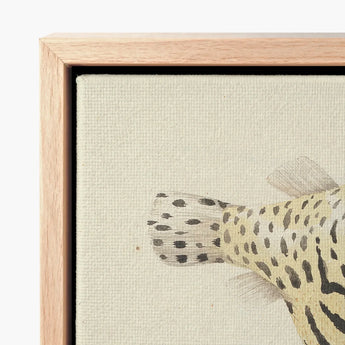 Framed Canvas Artwork Spotted Fish Black Beige Markings Luigi Balugani’s Sketchbook, Puffed-up Charmer, Balugani Sea Life