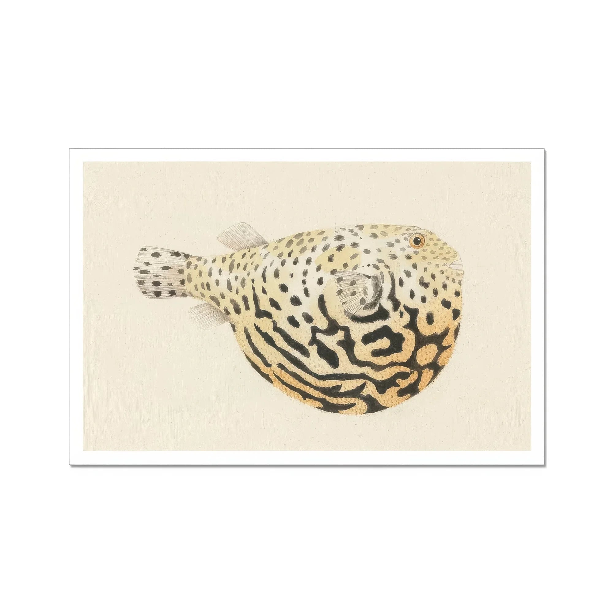 Blowfish - Luigi Balugani Sea Life Art Print, Spotted Pufferfish Intricate Black Yellow Patterns Body