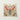 Vibrant Intricately Crafted Paper Sculpture Moth Translucent Red Blue Ball Damselfly, Print, Revolutionizes Xenozoological Art
