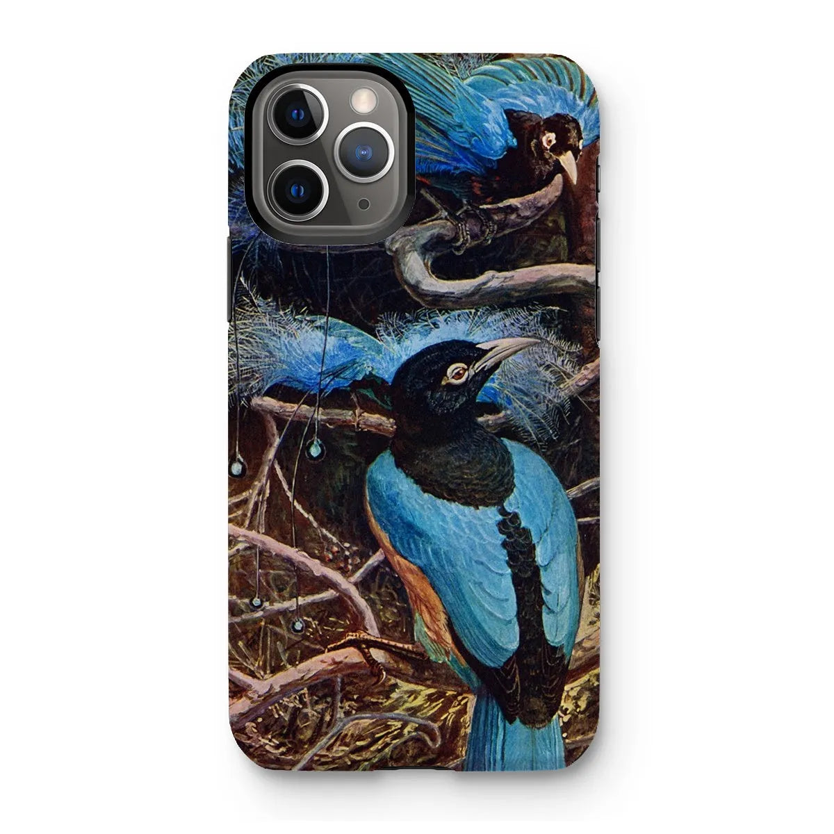 Blue Bird Of Paradise Aesthetic Phone Case - Henry Johnston - Iphone 11 Pro / Matte - Mobile Phone Cases - Aesthetic Art