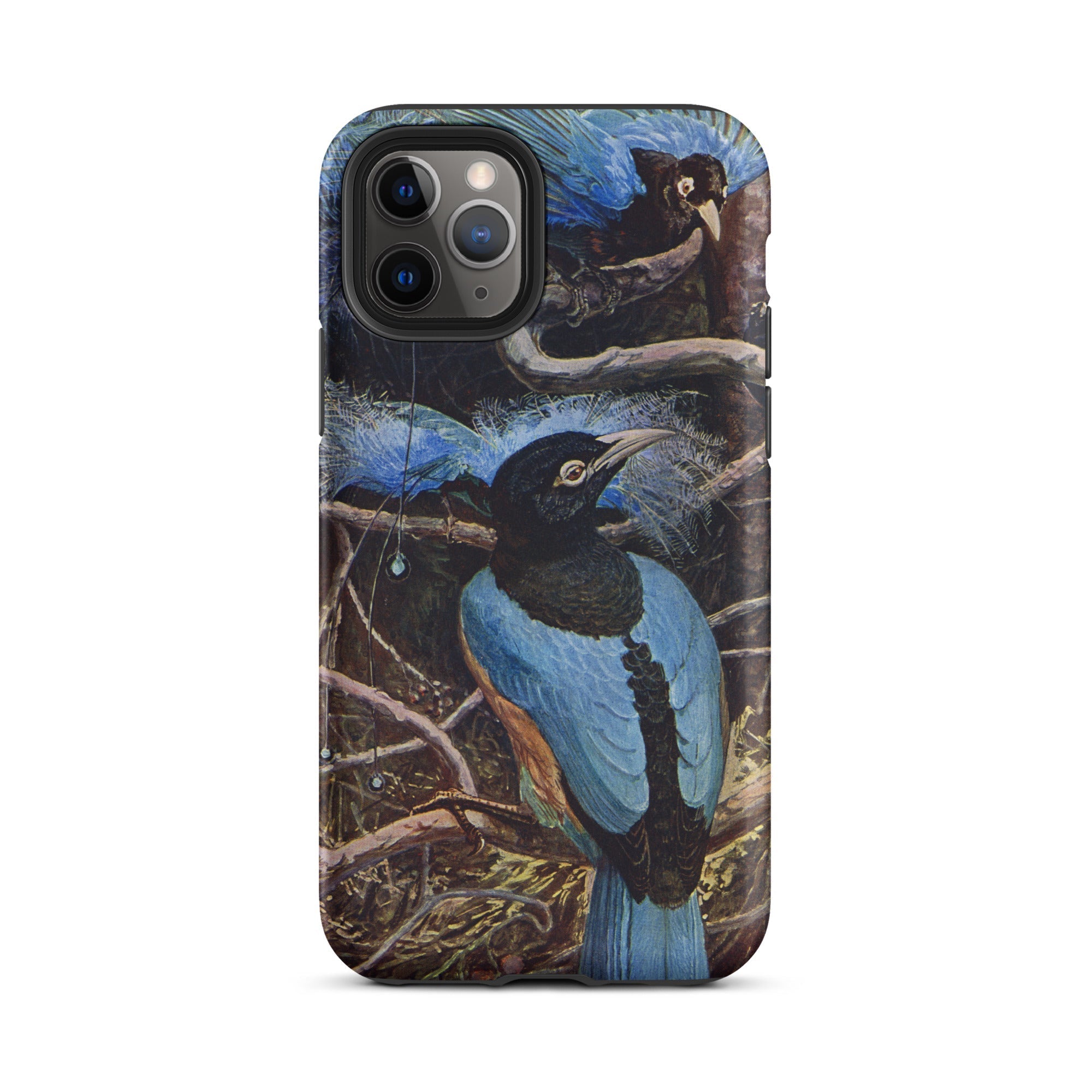 Blue Bird of Paradise Henry Johnston Iphone Case, 11 Pro / Matte, Bird Themed Iphone Case