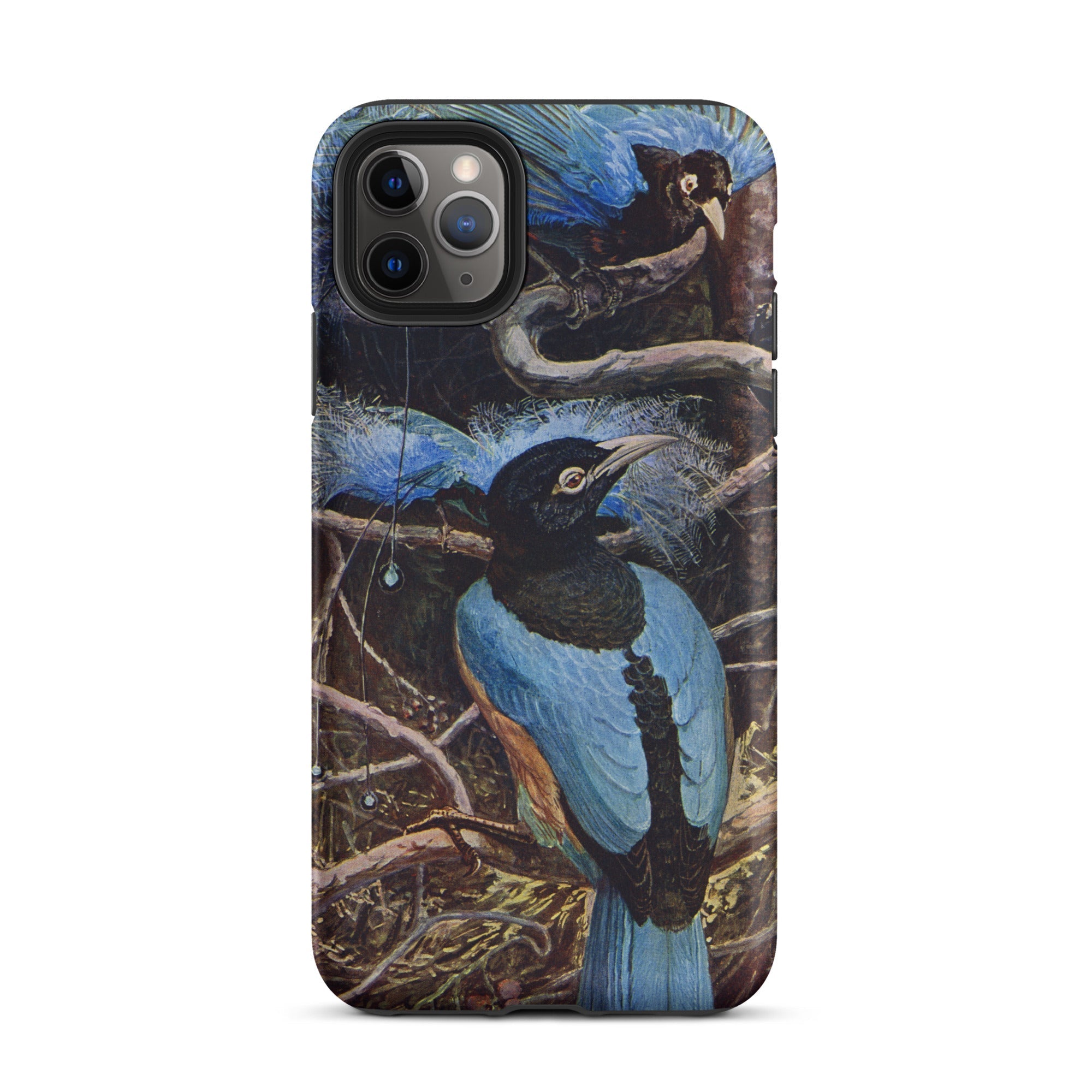 Blue Bird of Paradise Henry Johnston Iphone Case, 11 Pro Max / Matte, Bird Themed Phone Case