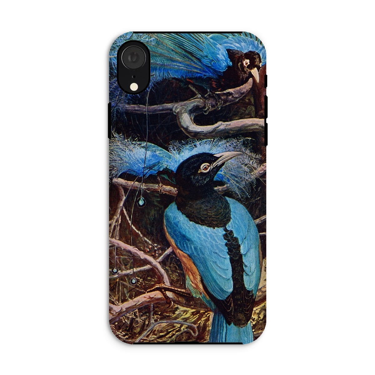 Blue Bird of Paradise Henry Johnston Iphone Case, Xr / Matte, Phone Case Colorful Artistic Design Blue Bird Mythical