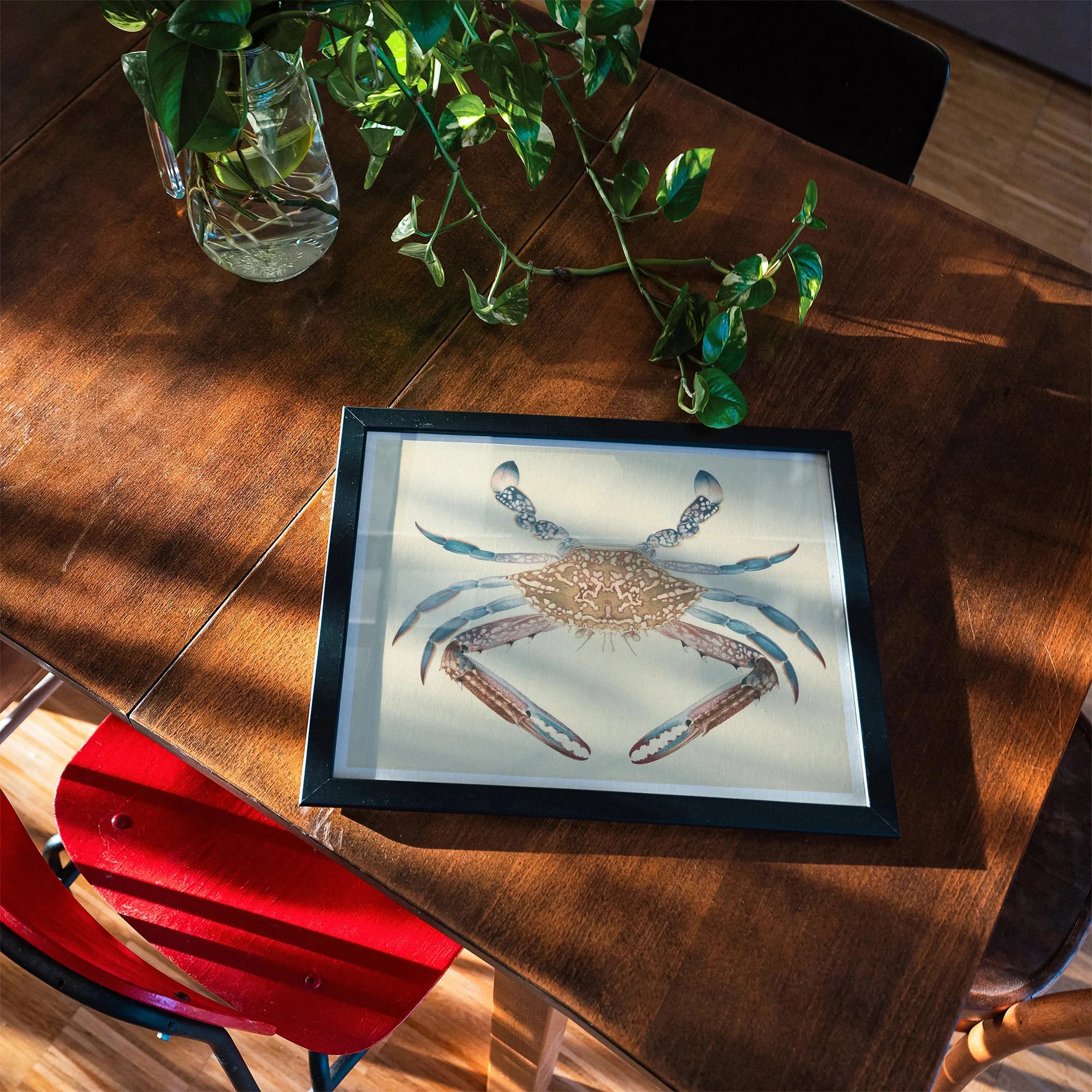 Blue Crab - Luigi Balugani Marine Life Art Print, 14’’x11’’ / Unframed, Framed Artwork Blue Crab Speckled Shell