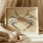 Blue Crab Luigi Balugani Marine Life Art Print, 20x16’’ / 51x41cm / Unframed, Framed Watercolor Painting Blue Brown Crab