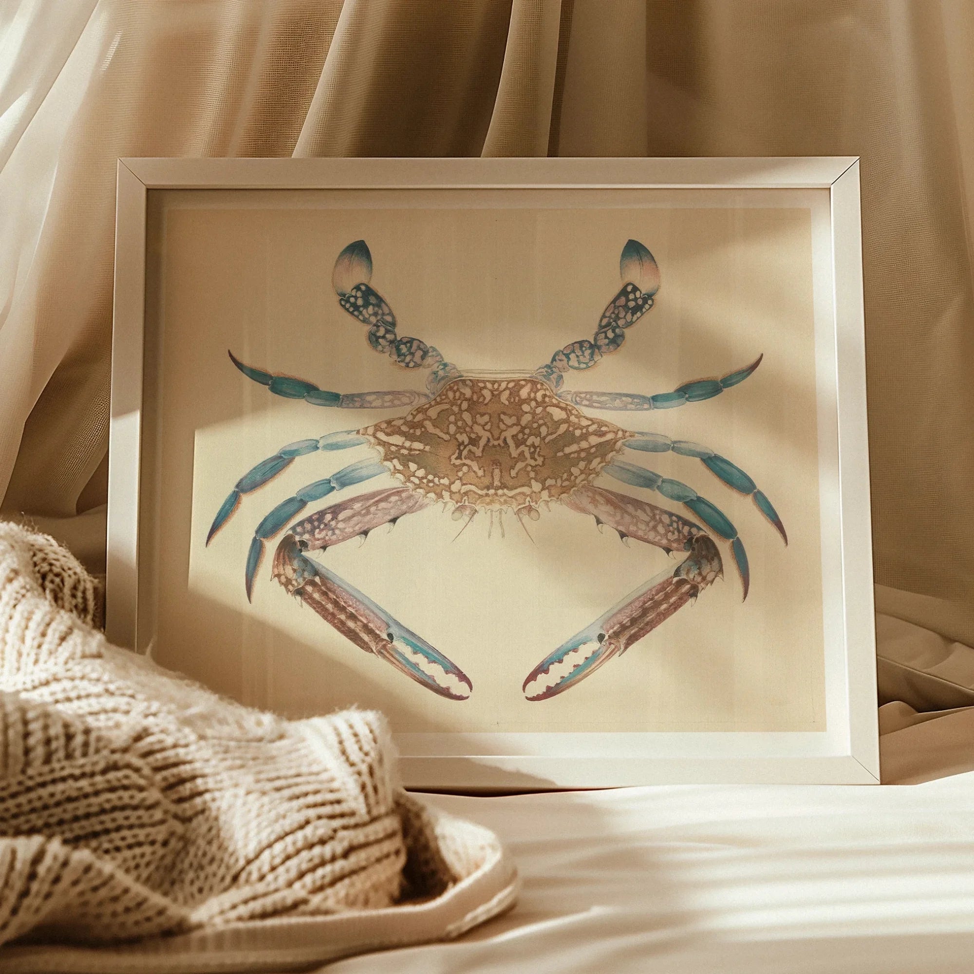 Blue Crab - Luigi Balugani Marine Life Art Print, 20x16’’ / 51x41cm / Unframed, Framed Watercolor Painting Blue Brown Crab