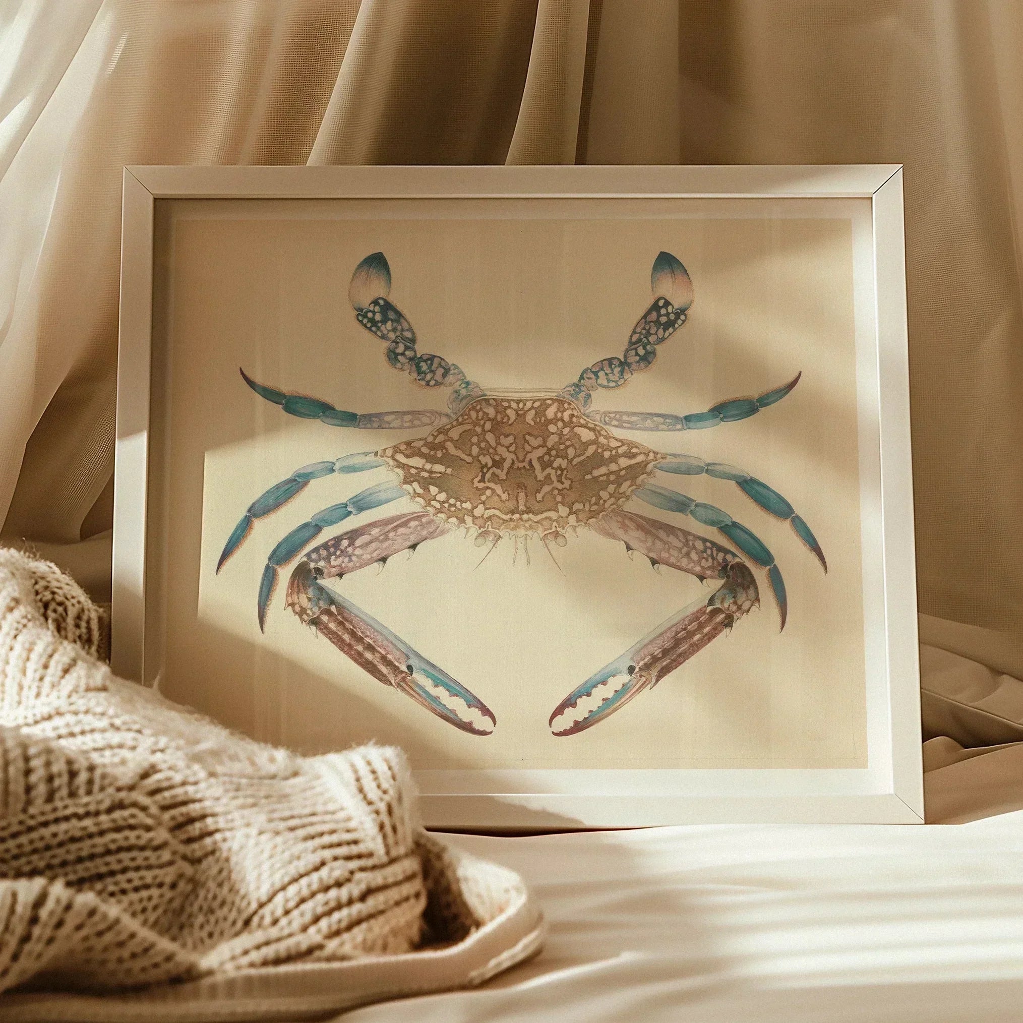 Blue Crab Luigi Balugani Marine Life Art Print, 20’’x16’’ / Unframed, Framed Watercolor Painting Blue Brown Crab