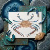 Blue Crab - Luigi Balugani Marine Life Art Print / Canvas Detailed Illustration Blue Crab Intricate Patterns Shell Legs Luigi Balugani,