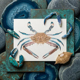 Blue Crab - Luigi Balugani Marine Life Art Print / Canvas Detailed Illustration Intricate Patterns Shell Legs, Sea Prints