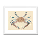 Blue Crab - Luigi Balugani Marine Life Art Print, Decorative Crab Illustration Brown Blue Tones Symmetrical Pose