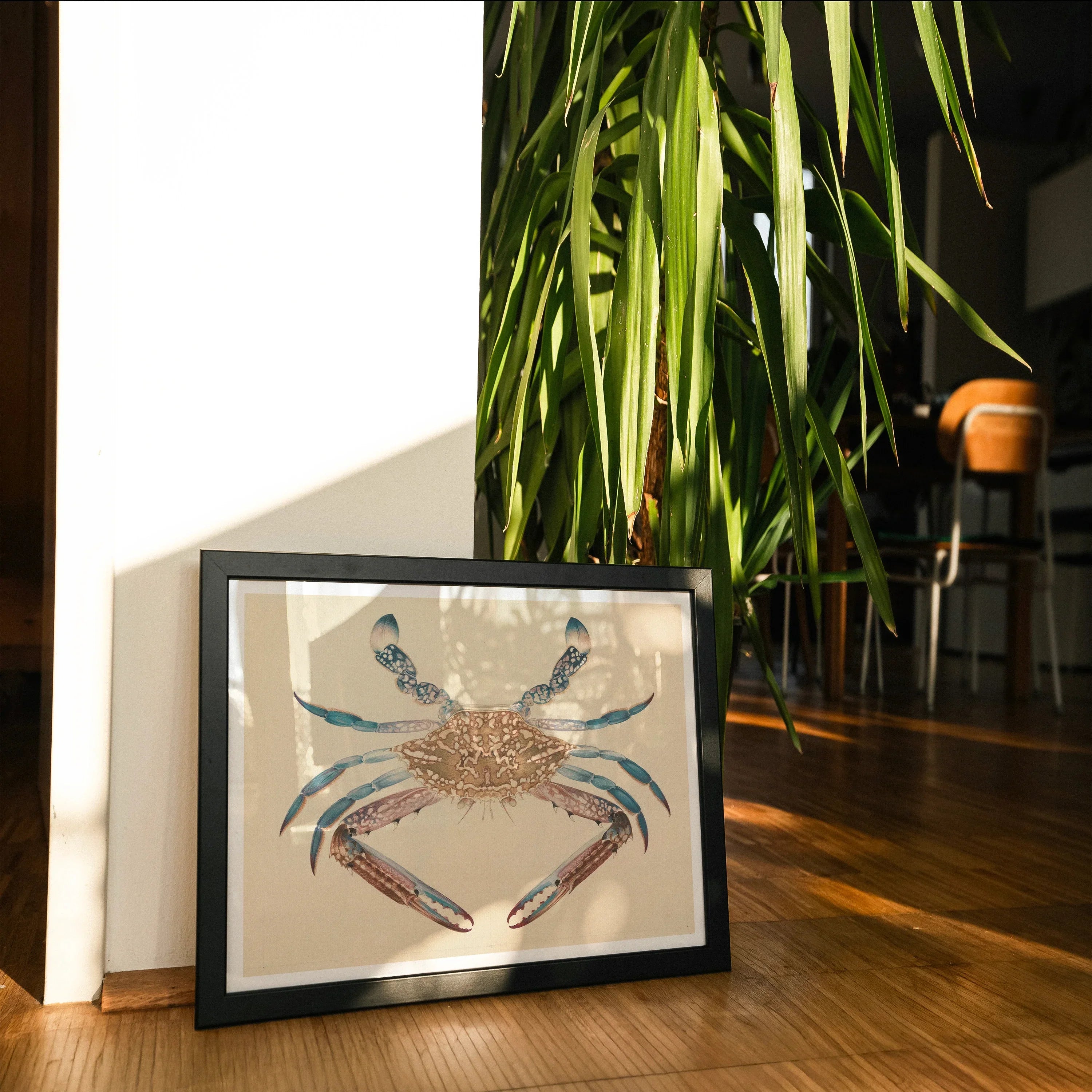 Blue Crab - Luigi Balugani Marine Life Art Print