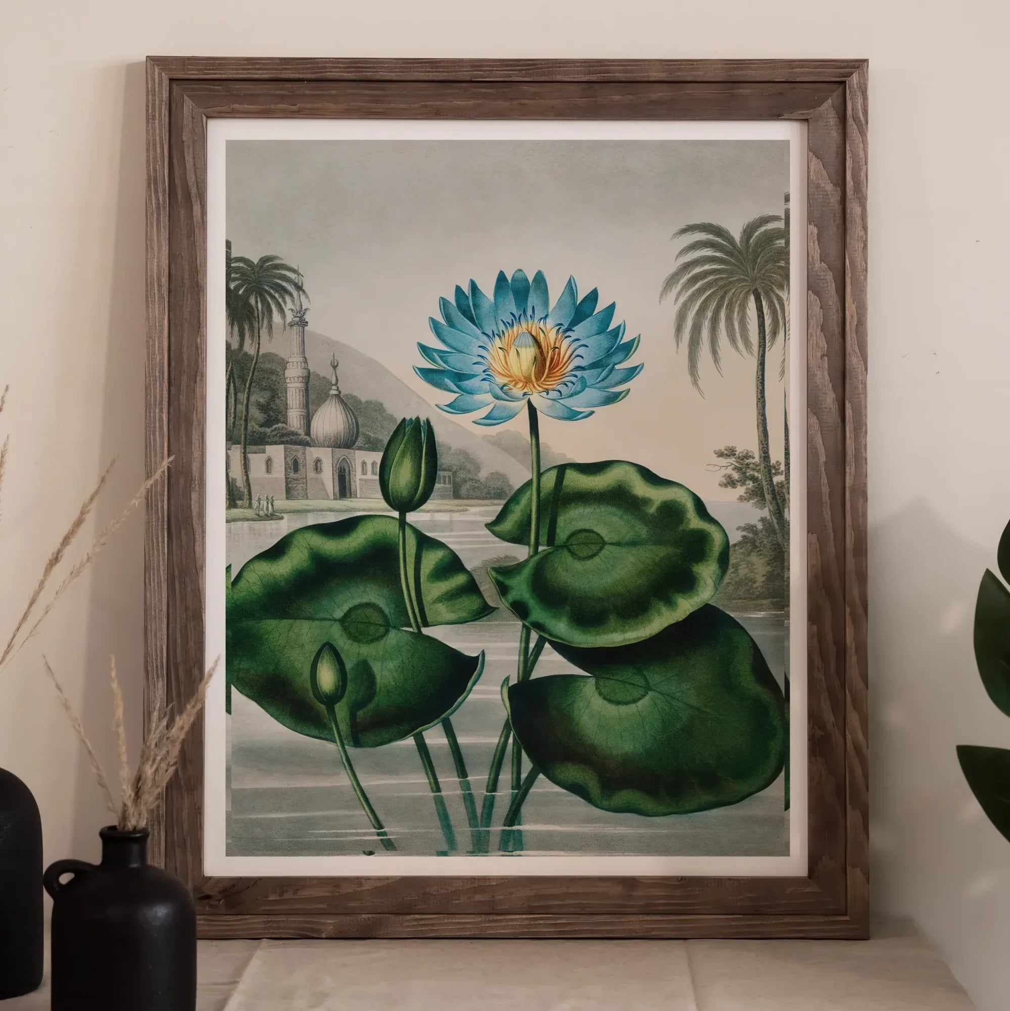 Blue Egyptian Water Lily - Robert John Thornton Art Print, 11x14’’ / 28x36cm / Unframed, Framed Botanical Print Blue Water Lily Large Green