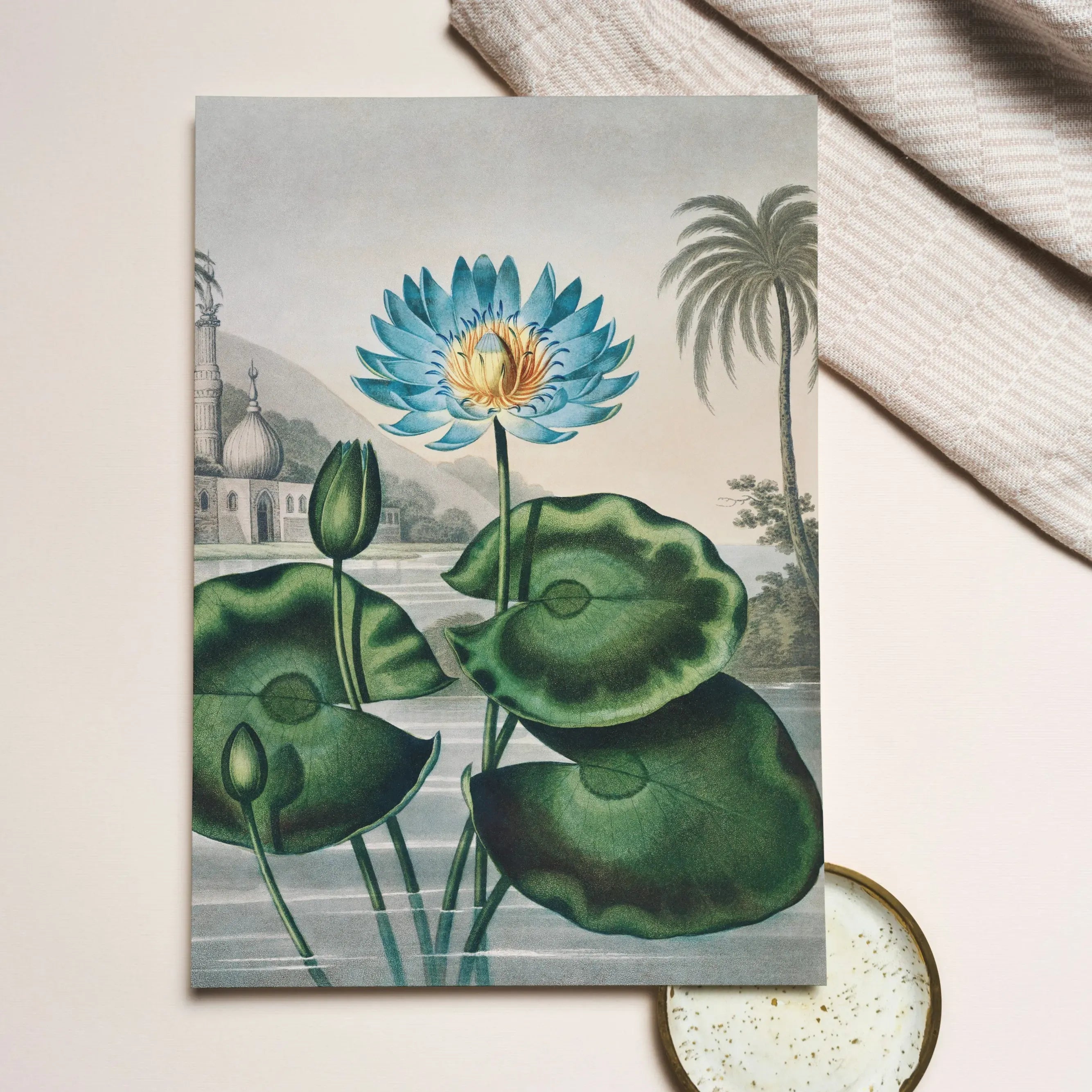 Blue Egyptian Water Lily - Robert John Thornton Greeting Card - A5 Portrait / 1 Card - Greeting & Note Cards