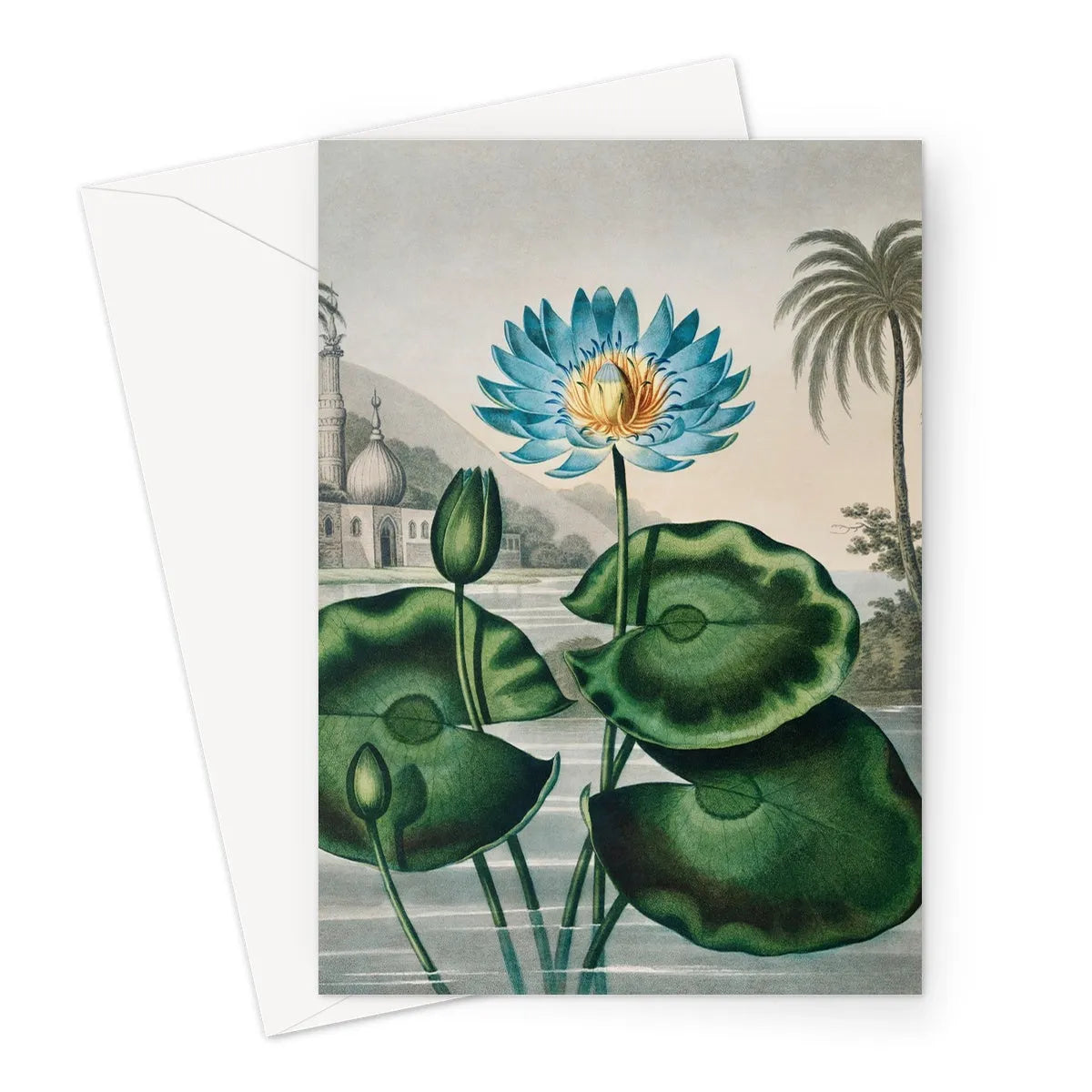 Blue Egyptian Water Lily By Robert John Thornton Greeting Card - Notebooks & Notepads - Aesthetic Art
