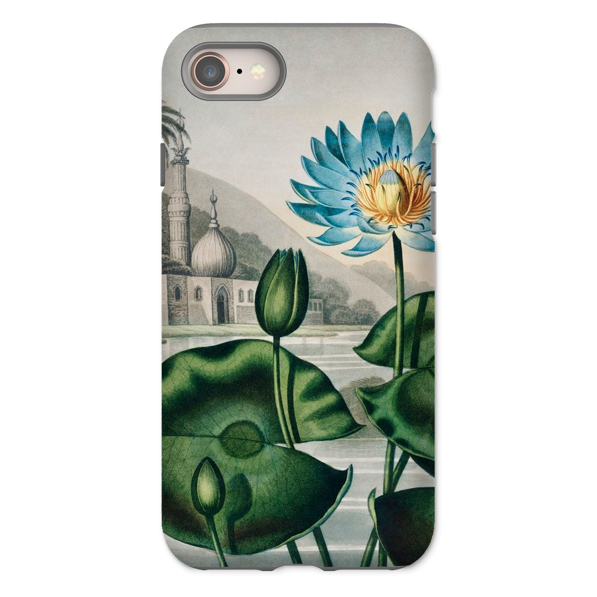 Blue Egyptian Water Lily Robert John Thornton Iphone Case, 8 / Matte, Floral Themed Phone Case