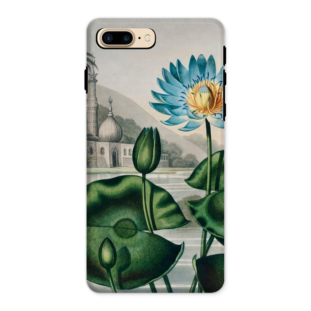 Blue Egyptian Water Lily Robert John Thornton Iphone Case, 8 Plus / Matte, Floral Patterned Phone Case
