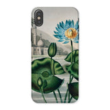 Blue Egyptian Water Lily - Robert John Thornton Iphone Case, x / Matte, Floral Phone Case