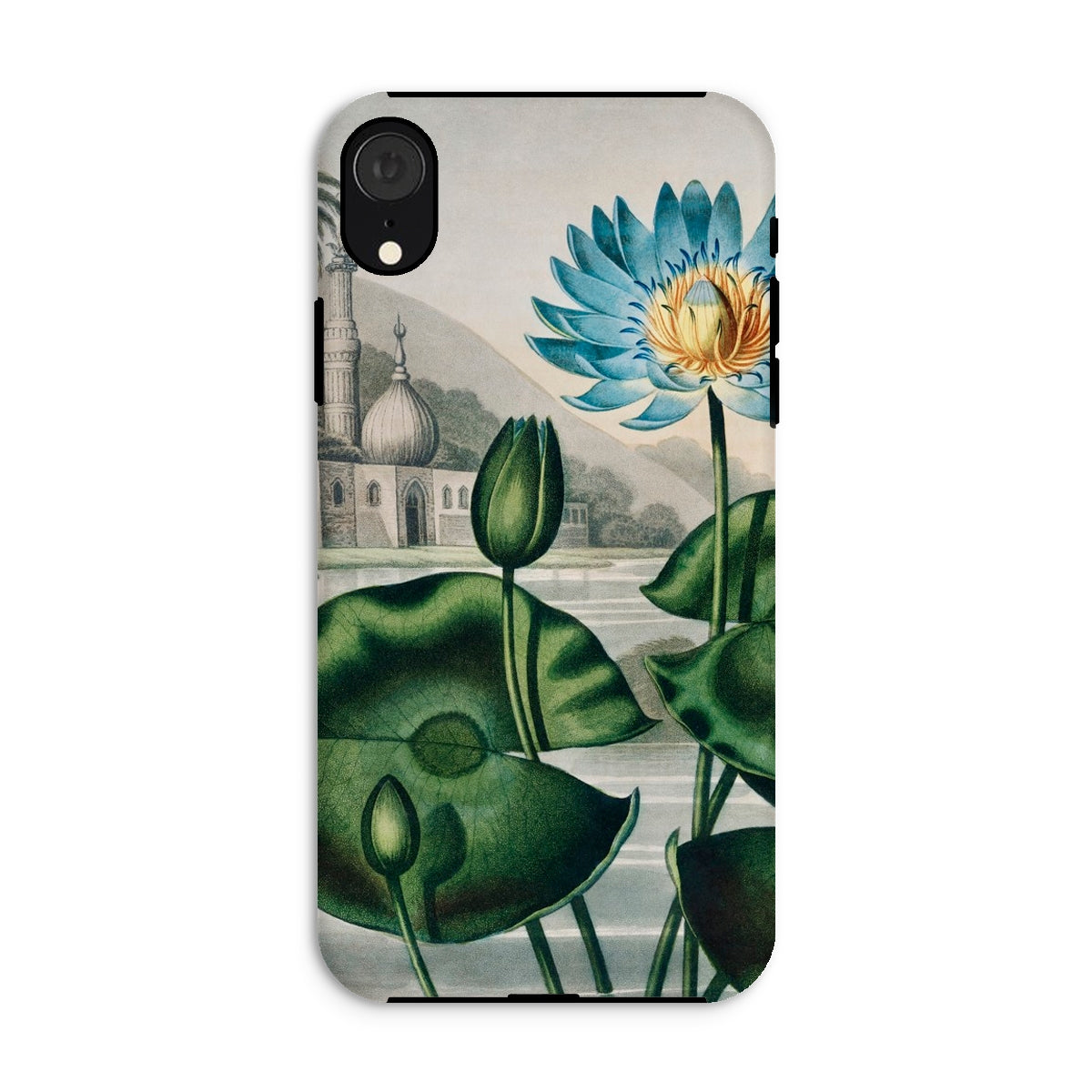 Blue Egyptian Water Lily Robert John Thornton Iphone Case, Xr / Matte, Floral Phone Case