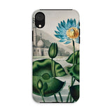 Blue Egyptian Water Lily - Robert John Thornton Iphone Case, Xr / Matte, Floral Phone Case