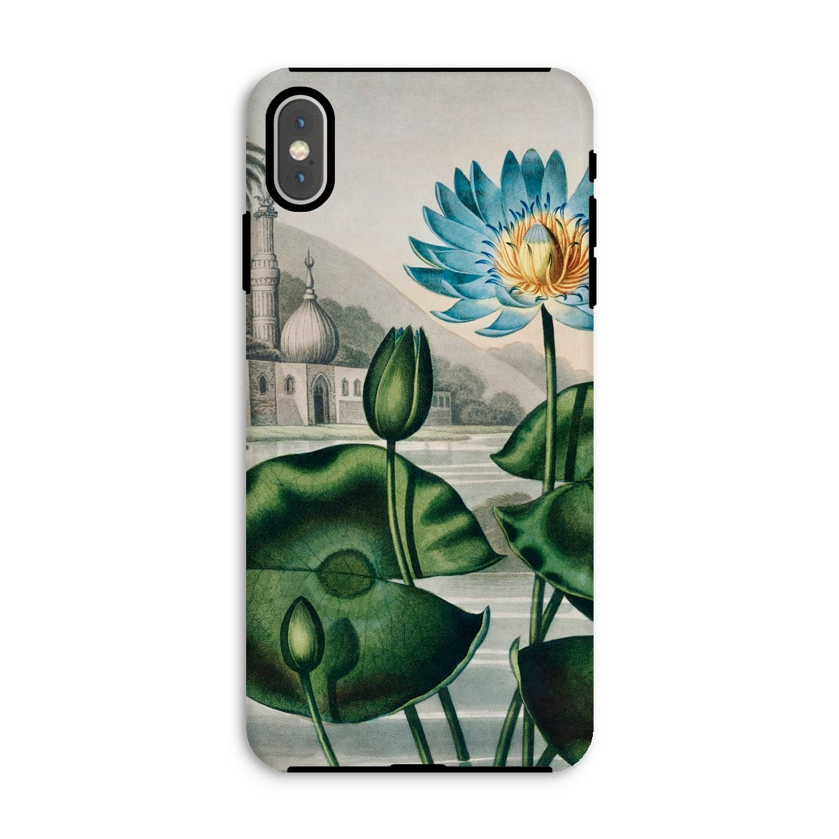 Blue Egyptian Water Lily Robert John Thornton Iphone Case, Xs Max / Matte, Floral Patterned Phone Case