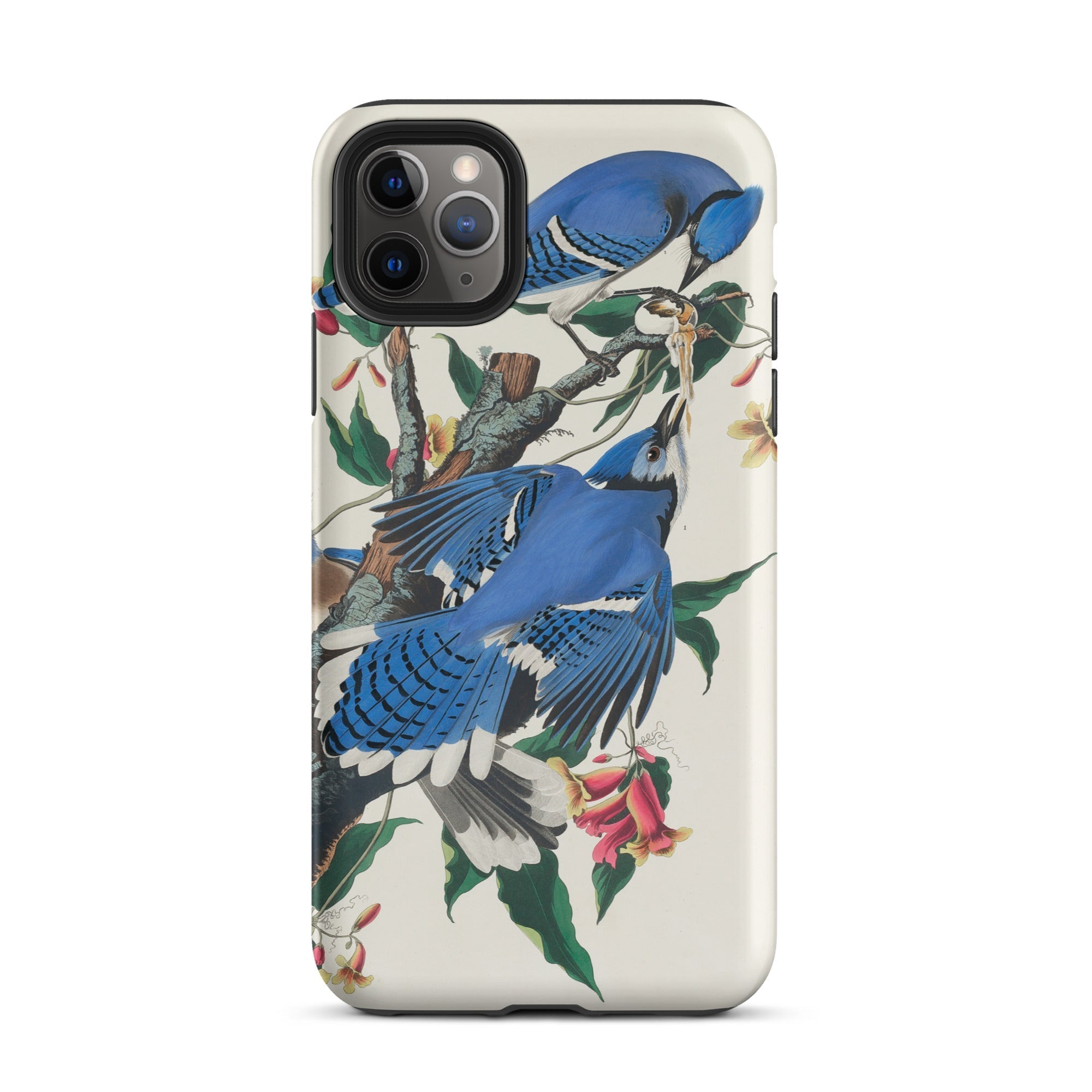 Blue Jays John James Audubon Iphone Case, 11 Pro Max / Matte, Blue Jay Patterned Phone Case