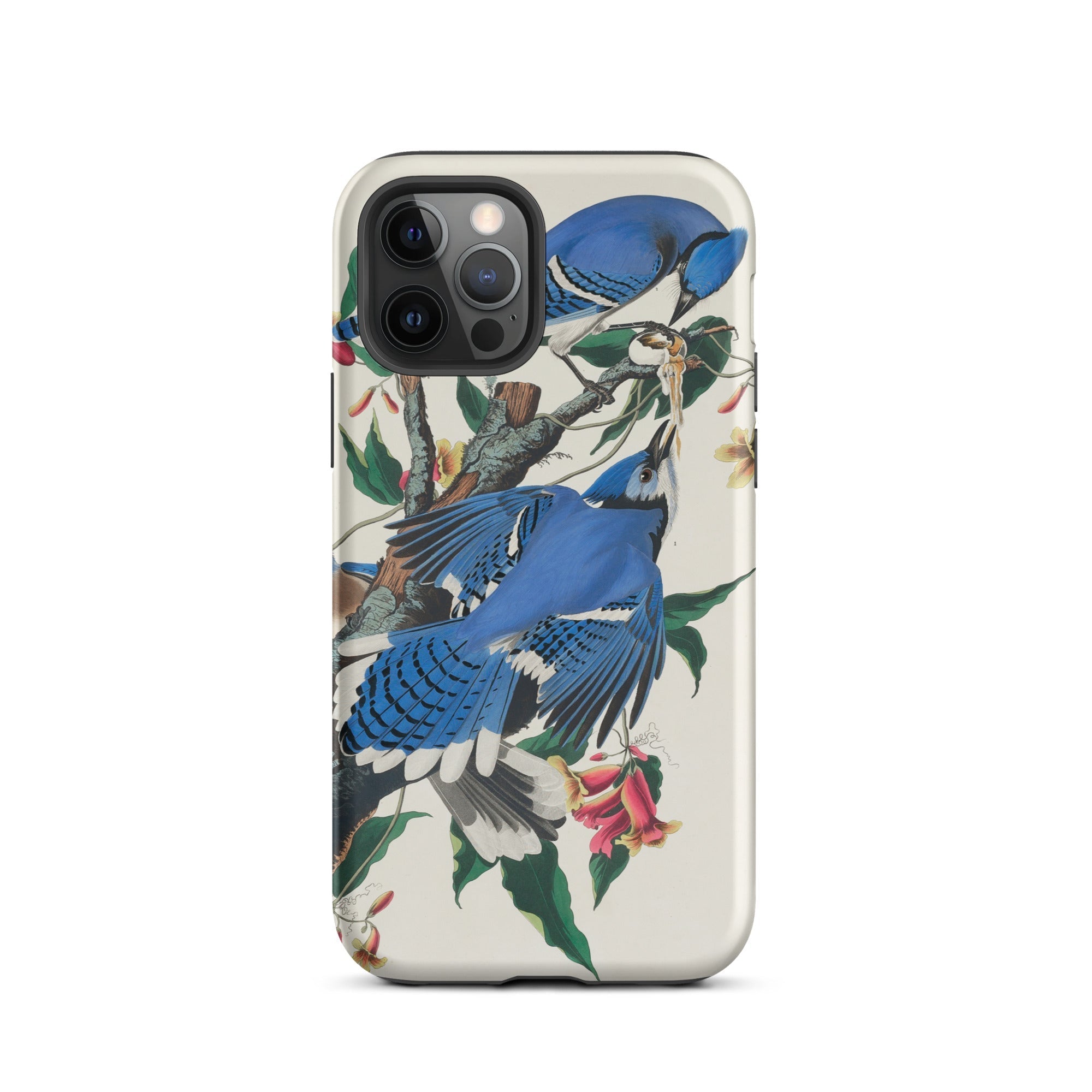 Blue Jays John James Audubon Iphone Case, 12 Pro / Matte, Blue Jay Patterned Phone Case