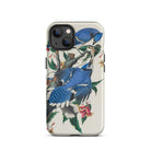 Blue Jays John James Audubon Iphone Case, 13 / Matte, Blue Jay Patterned Phone Case